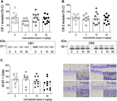 Dose-Dependent Antidepressant-Like Effects of Cannabidiol in Aged Rats